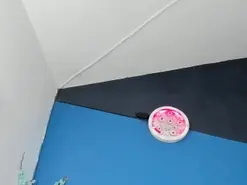 Amateur Free Live Porn of zaid_lionn