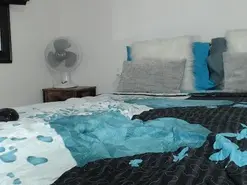 Amateur Live Sex Cam of latinaflower_ts