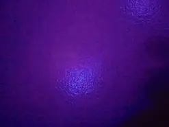 Amateur Adult Webcam of camila_valkirye