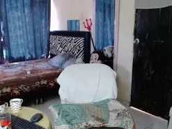 Amateur Free Live Porn of alina_li