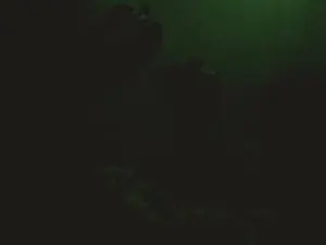 Cam4 Private Sex Chat of Nathalia_Looes