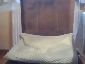 Cam4 Free Live Porn of petra105