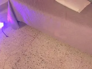 Cam4 Free Live Porn of Bellatrix_1