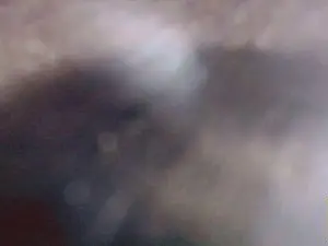 Cam4 Live Sex Cam of Clarissa_Gill