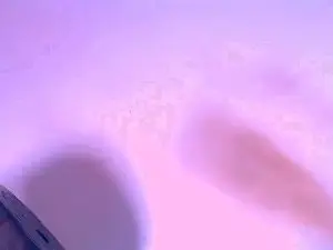 Cam4 Free Live Porn of ebony_naughtyts