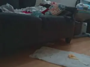 Cam4 Sex Cam of lishrimpdick