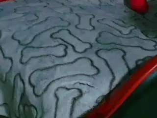 Camsoda Best Webcam of edwardtrans17