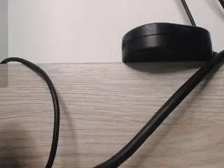 Camsoda Free Porn Cam of the-best-fox