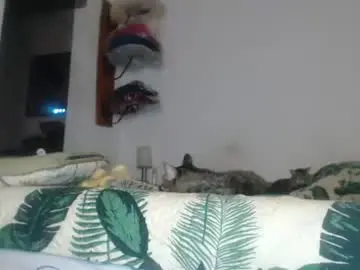 Chaturbate Sex Cam of camila_bigcock_ts