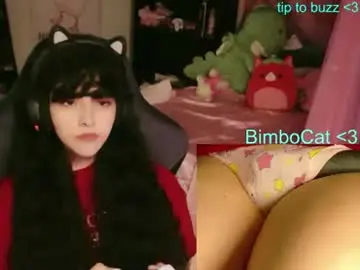 Chaturbate Nude Webcam of bimbocat