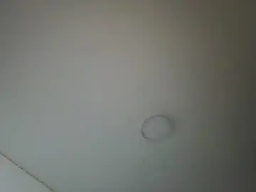 Chaturbate Live Porn of im__isabella