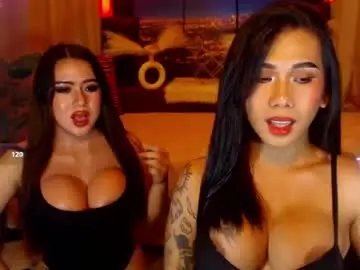 Chaturbate Free Live Porn of transpornidol