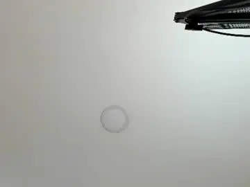 Chaturbate Sex Chat of sarita_loven