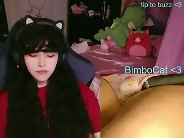 Stripchat Private Sex Chat of BimboCat