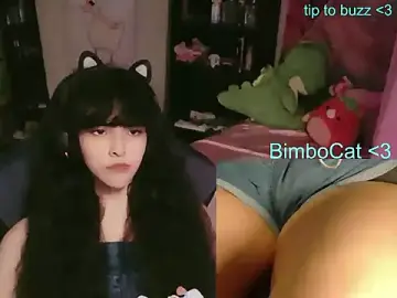 Stripchat Free Live Porn of BimboCat