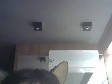 Stripchat Private Sex Chat of SkinnyKitten