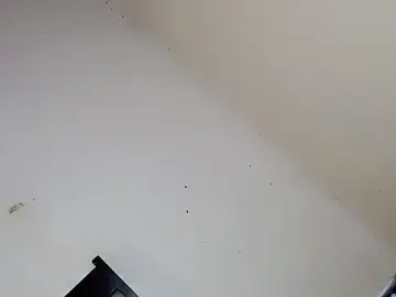 Stripchat Live Porn of ashley_bombshell
